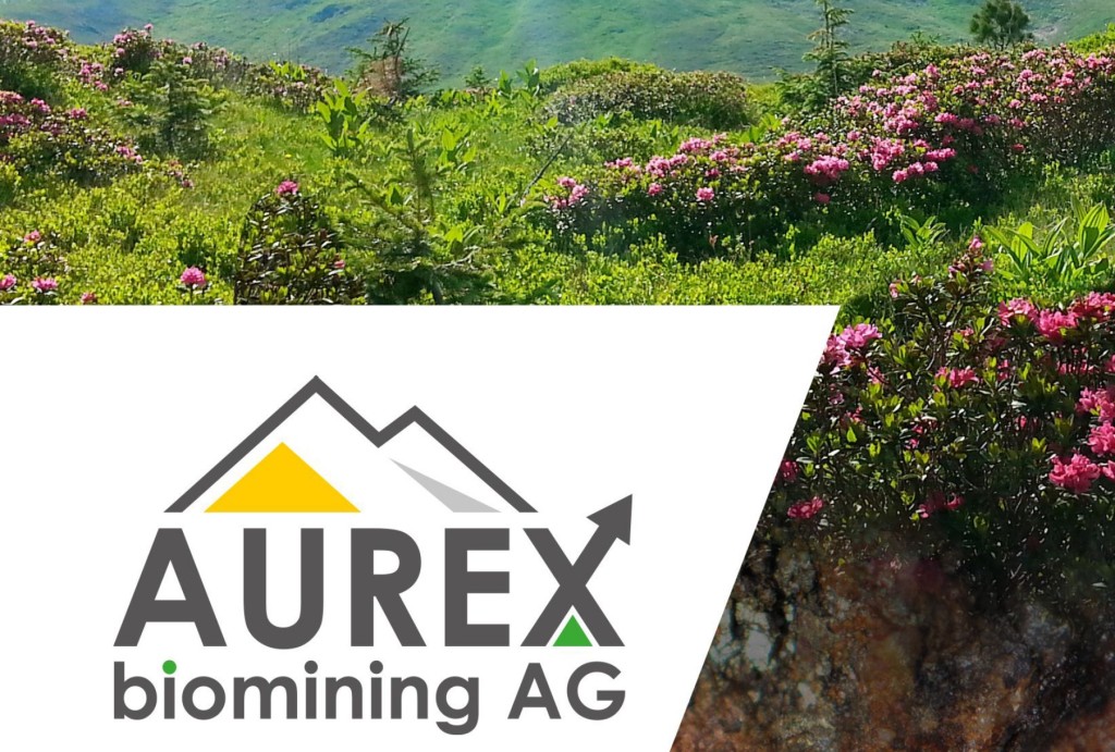 Aurex Biomining